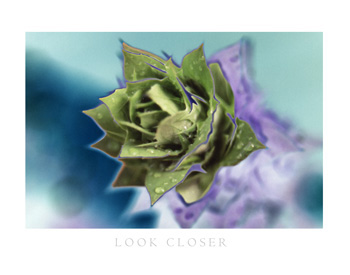 Look-Closer