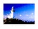 The-Lighthouse